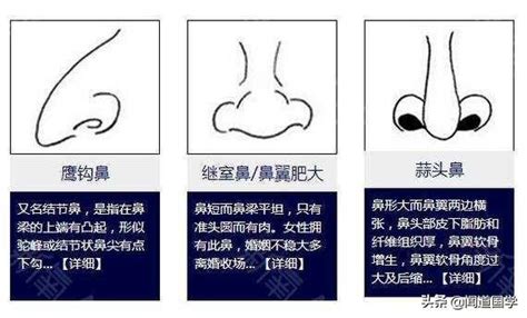 大鼻子面相|相学最有福气的7种鼻子 面相中最有福气的7种鼻子